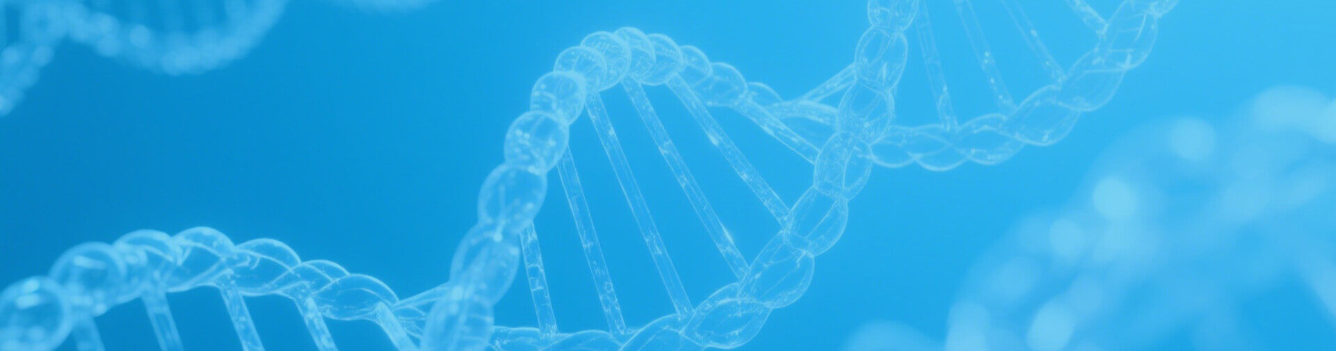 Have questions about our science or want to learn more about MOTE?
Please fill out the form in the link below to get in contact. 