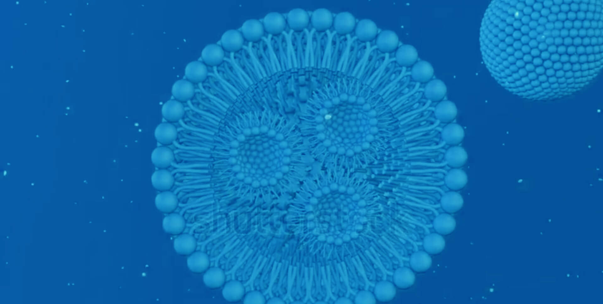 Next-generation targeted
RNA delivery 