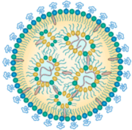 mRNA therapies are limited by delivery 